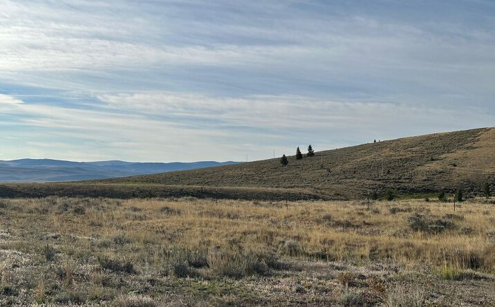 Pictures of Land property located at 58 Mountain View Trail, White Sulphur Springs, MT 59645 for sales - image #1