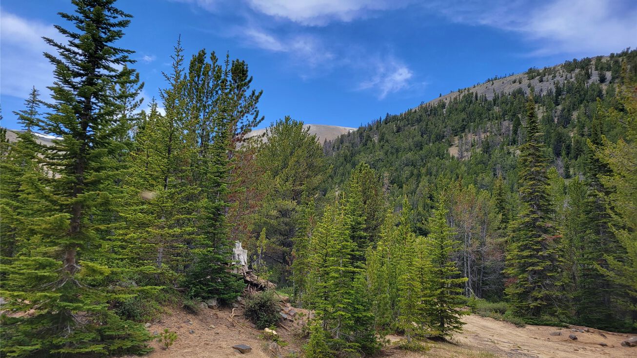 TBD Trapper Creek Road, Melrose, MT 59732