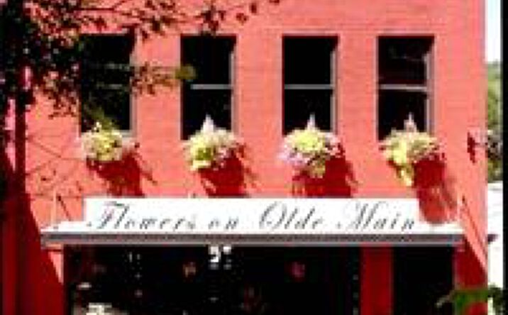 Pictures of Retail property located at 216 Main St, Saint Albans, WV 25177 for sales - image #1