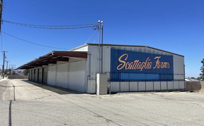 Pictures of Land property located at Pearblossom, Littlerock, CA 93543 for sales - image #1