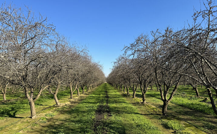 Pictures of Land property located at 5025 W Kearney Blvd, Fresno, CA 93706 for sales - image #1