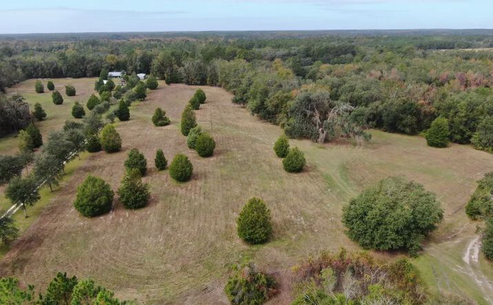 Coachwhip 13 Acres, Madison, FL 32340 | Crexi.com