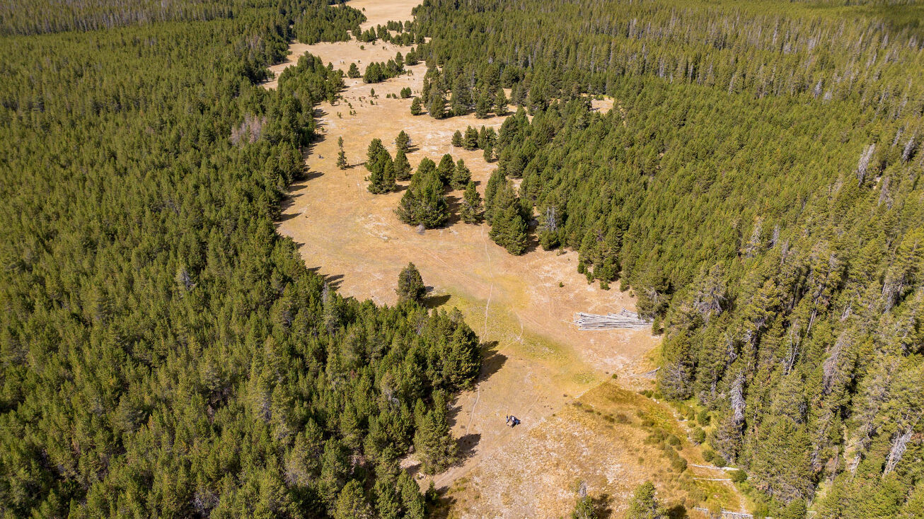 0 No Stitus, Chemult, OR 97731