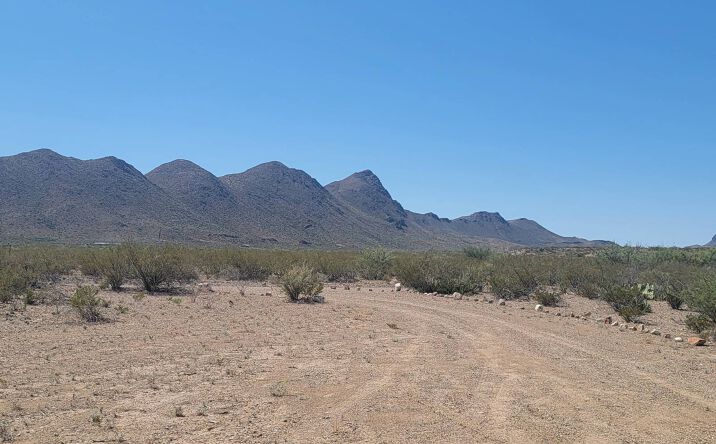 Pictures of Office property located at 52055 TX-118, Alpine, TX 79830 for sales - image #1