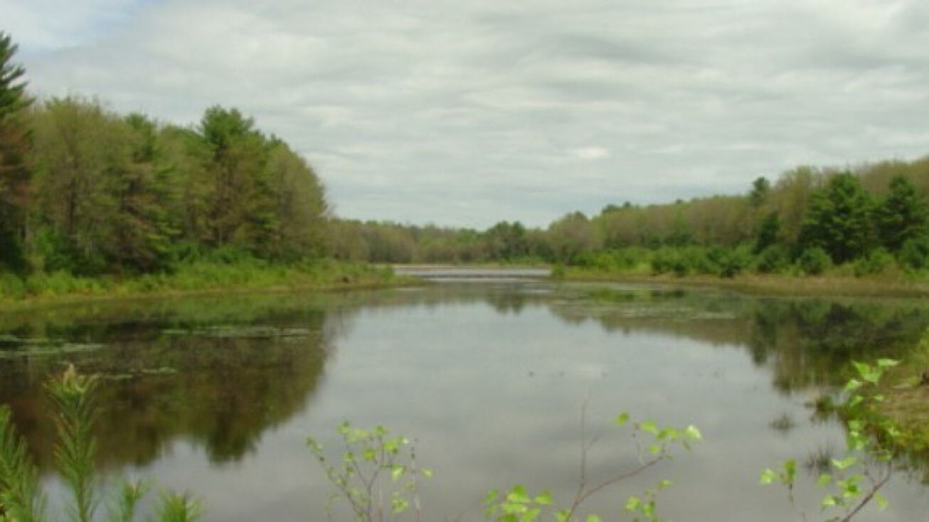 NY17B & County Rd 113, Cochecton, NY 12726