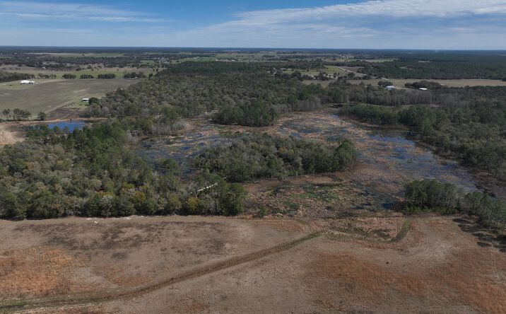 Pictures of Land property located at 9570 NE 35th St, Bronson, FL 32621 for sales - image #1