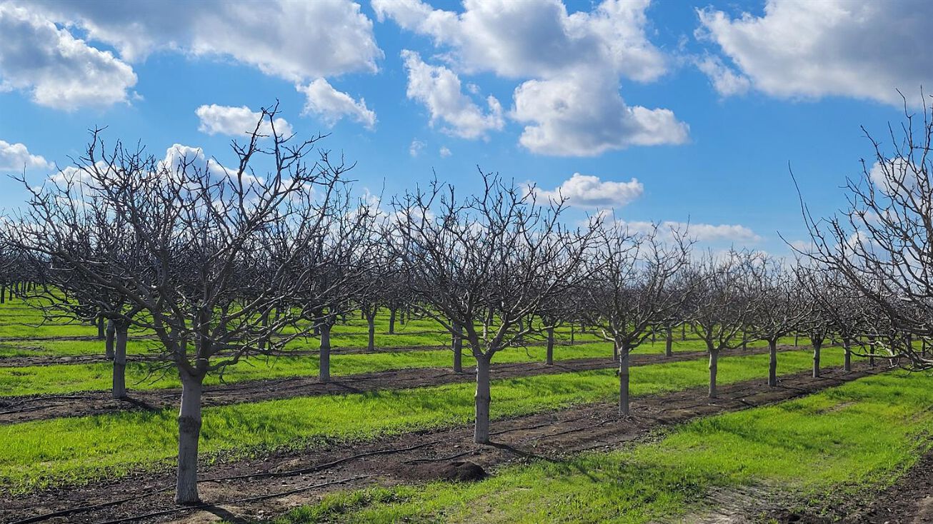 Lake Ave, Kerman, CA 93630