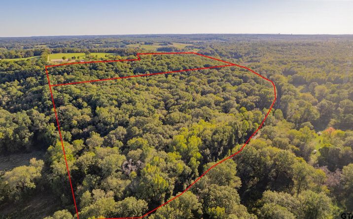 Pictures of Land property located at XXX US Hwy 271 N, Tyler, TX 75708 for sales - image #1
