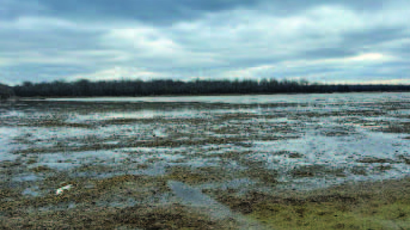 Bayou Meto Long Bell Road Farms, Wabbaseka, AR 72175