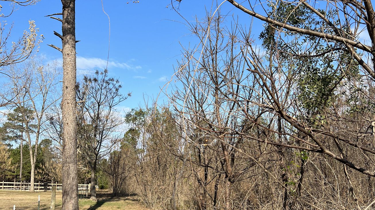 Ranger Rd, Warrenton, GA 30828