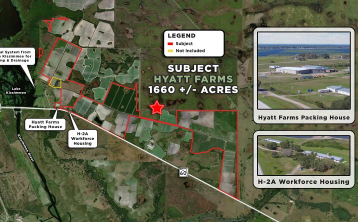 Pictures of Land property located at State Rd 60, Okeechobee, FL 34972 for sales - image #1