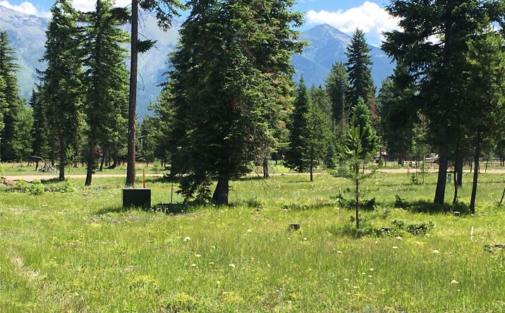 Pictures of Land property located at 181 Mission Vista Lane, Swan Valley, MT 59826 for sales - image #1