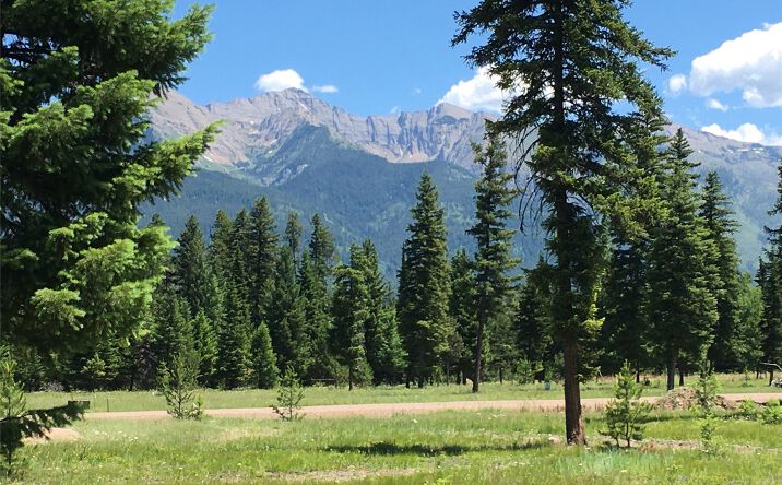 Pictures of Land property located at 223 Mission Vista Lane, Swan Valley, MT 59826 for sales - image #1