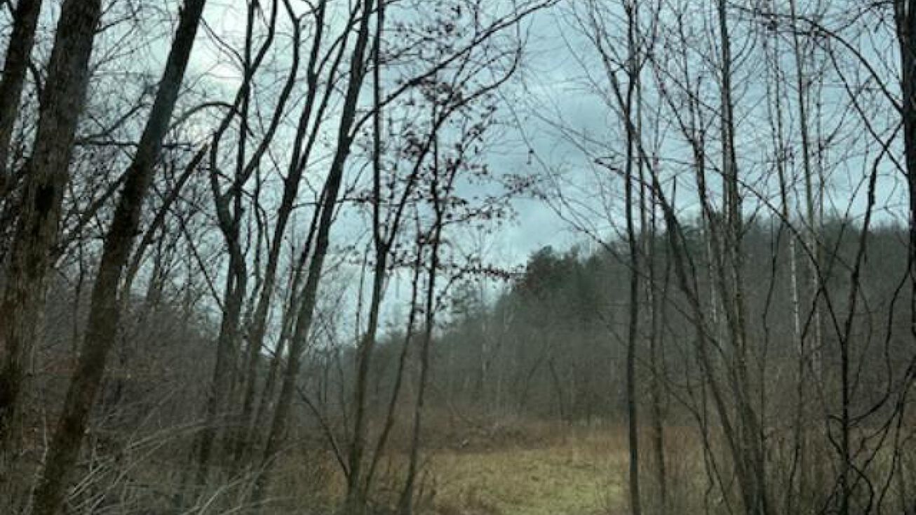 Beechmont Road, Sandy Hook, KY 41171