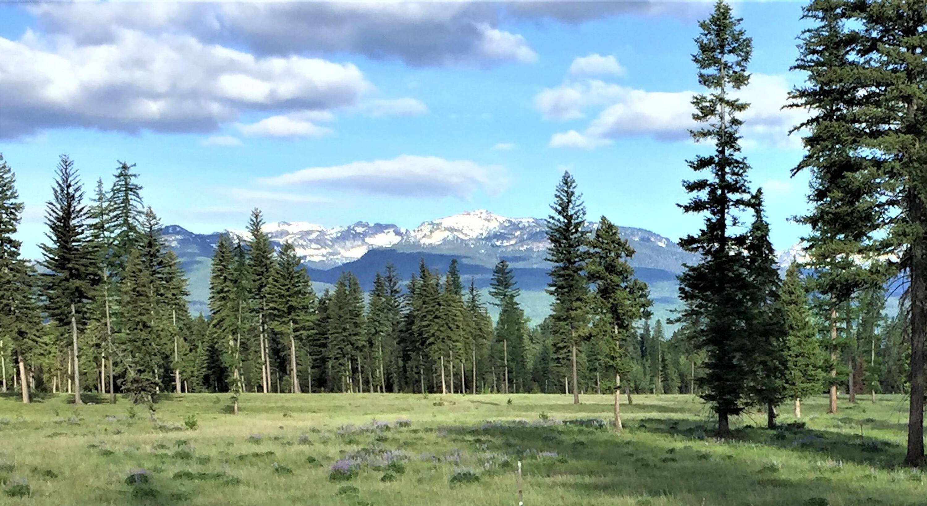 865 Remicks Rd, Swan Valley, MT 59826