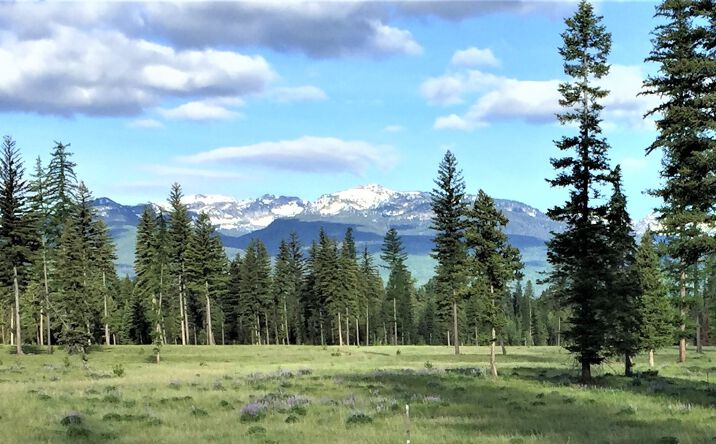 Pictures of Land property located at 865 Remicks Road, Swan Valley, MT 59826 for sales - image #1
