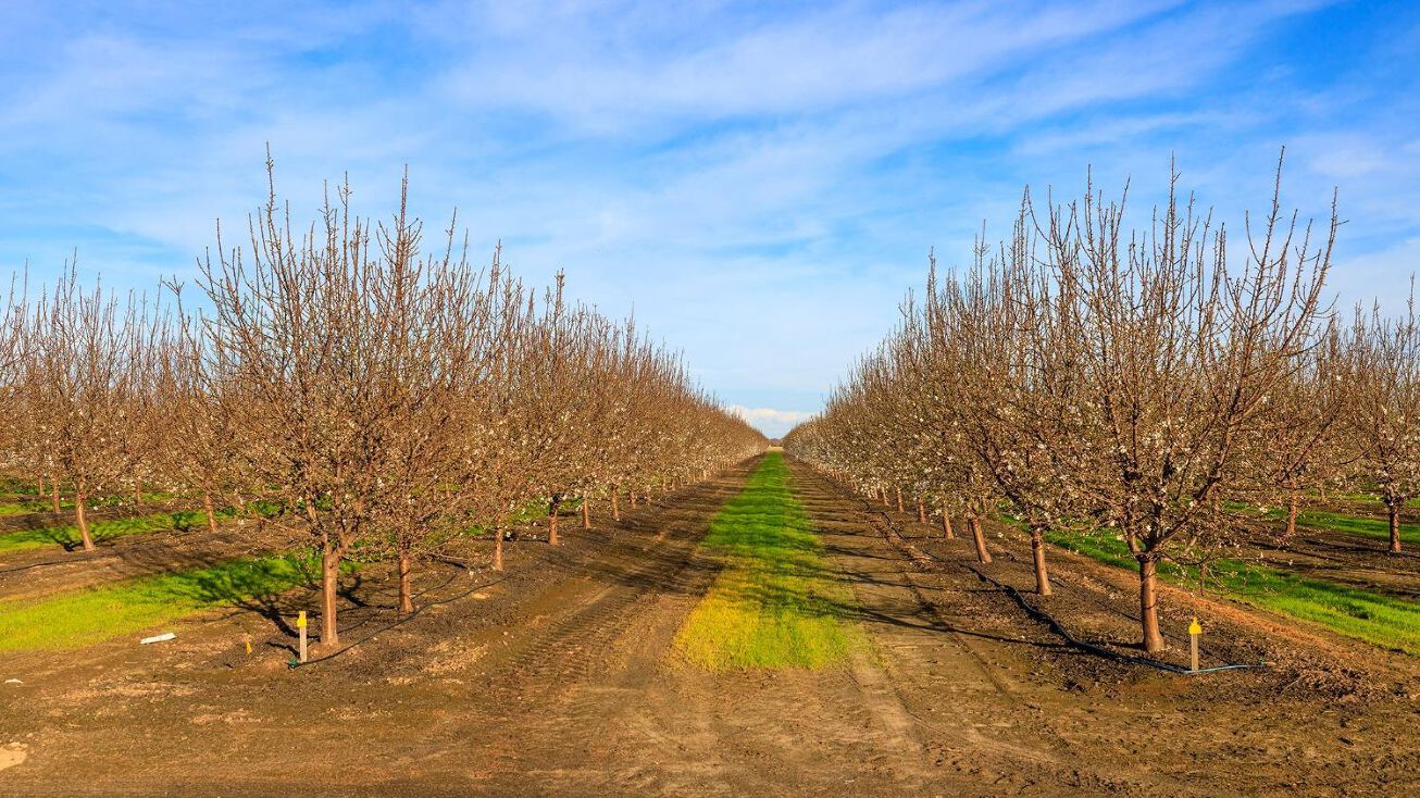 4912 Hultberg Road, Turlock, CA 95380