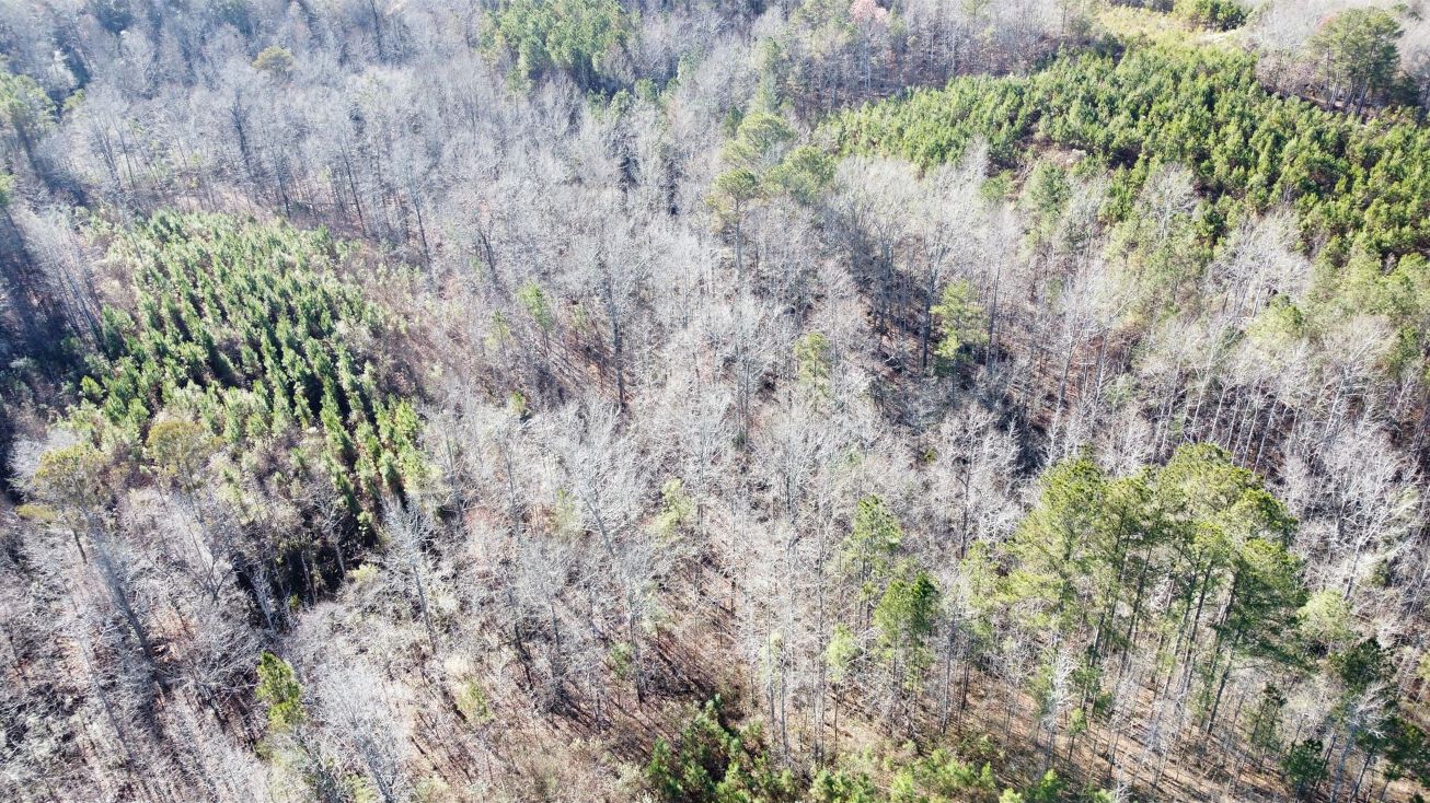 000 N Co Rd 128, Winfield, AL 35594