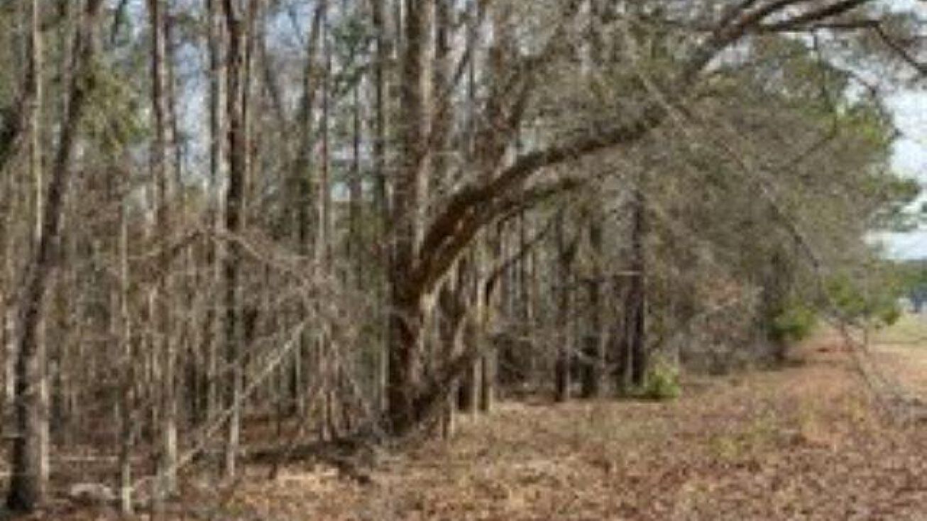 5.0 Acs Knotty Branch Rd, Bucksport, SC 29527