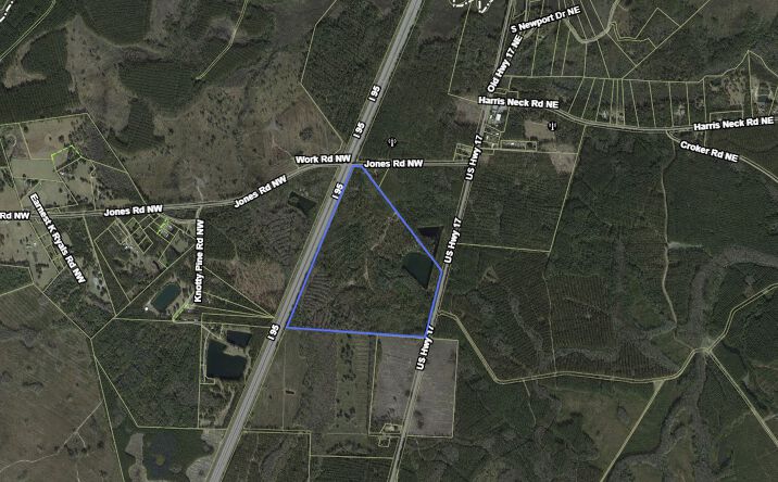 Pictures of Land property located at US-17, Townsend, GA 31331 for sales - image #1