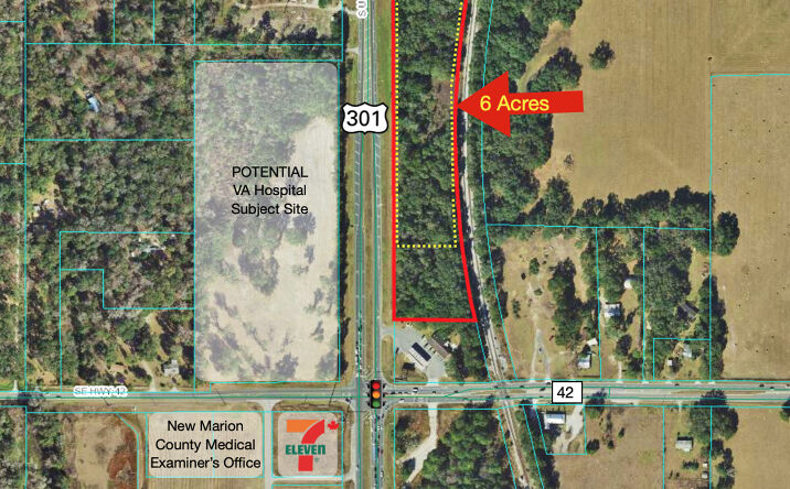 Pictures of Land property located at US-301, Summerfield, FL 34491 for sales - image #1