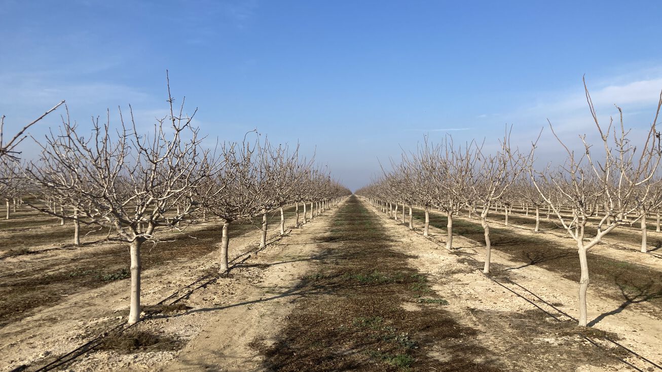 Garces Hwy, Delano, CA 93215