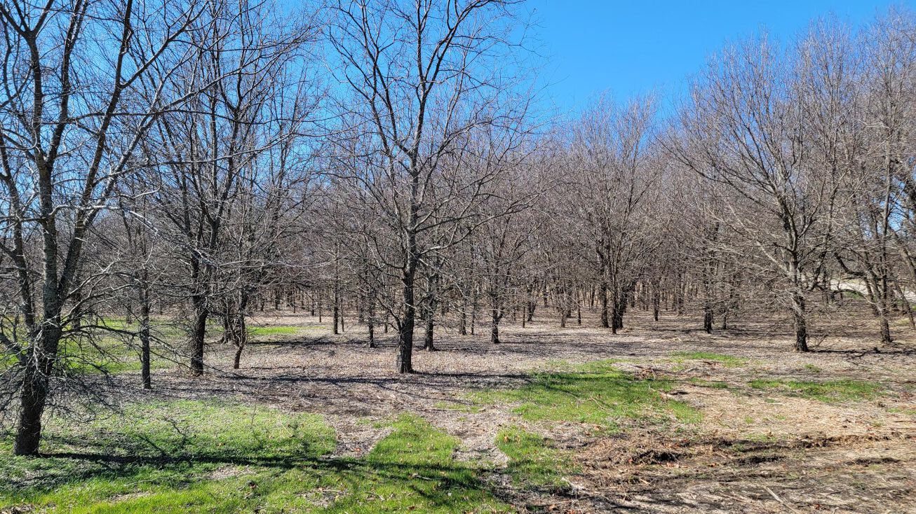 Lot 2 Davidson Rd, Sanger, TX 76266