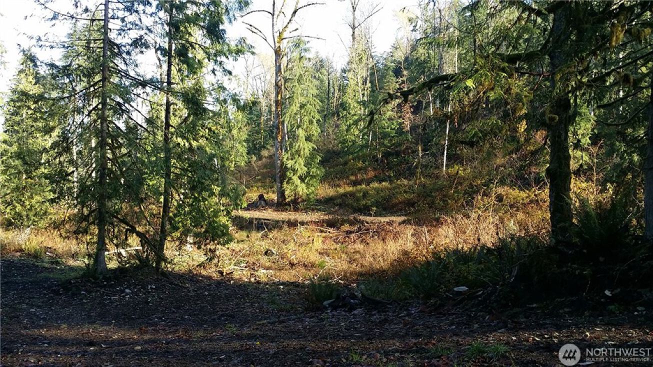 151xx WilkesonSpiketon Rd (Lot 3), Wilkeson, WA 98396
