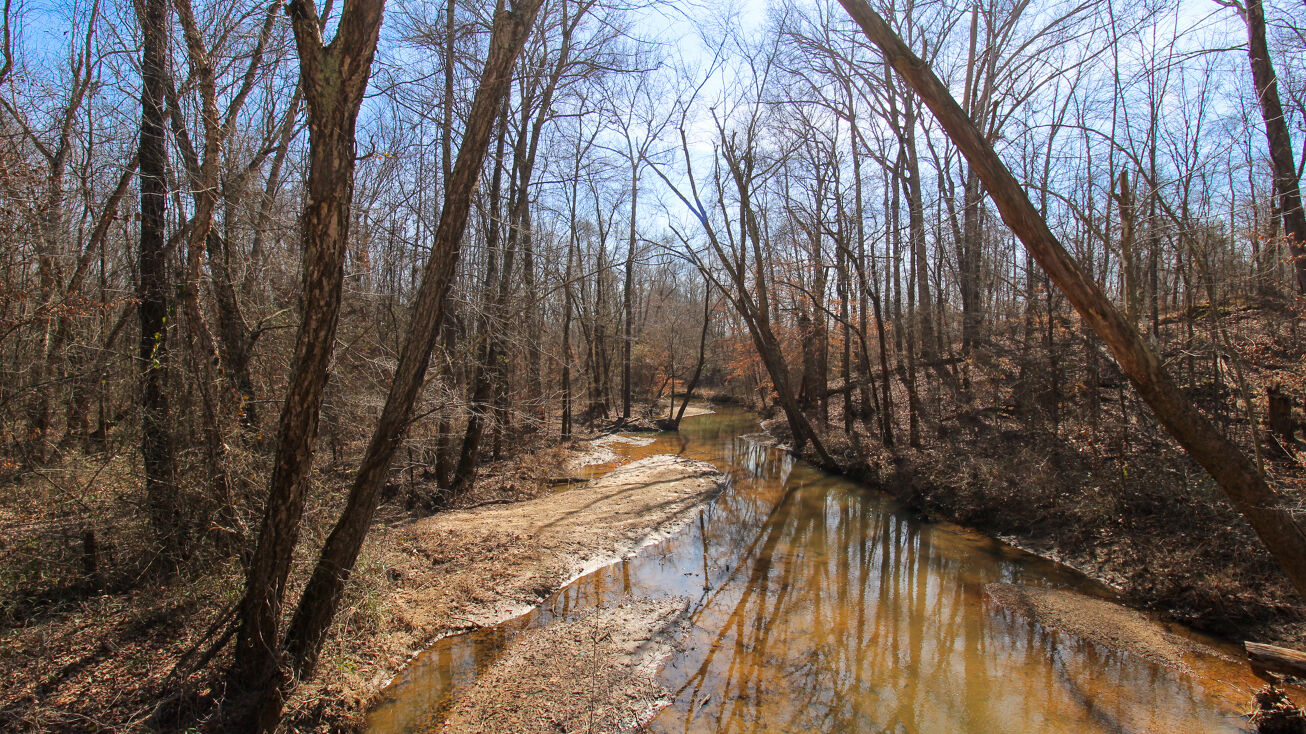 5490 Saltillo Rd, Saltillo, TN 38370