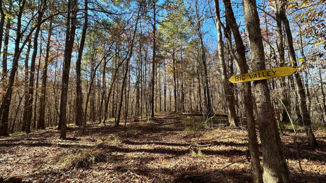 Wesley Ln, Lincolnton, NC 28092