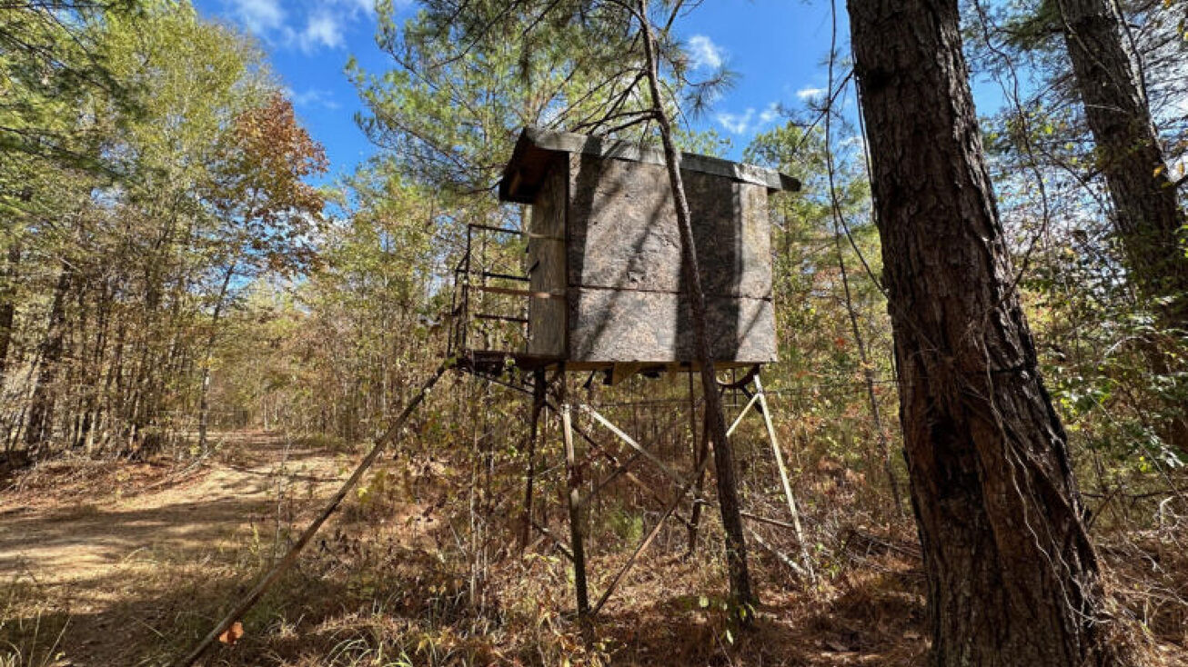 Copiah 150 Jack Rd, Dentvillla, MS 39059