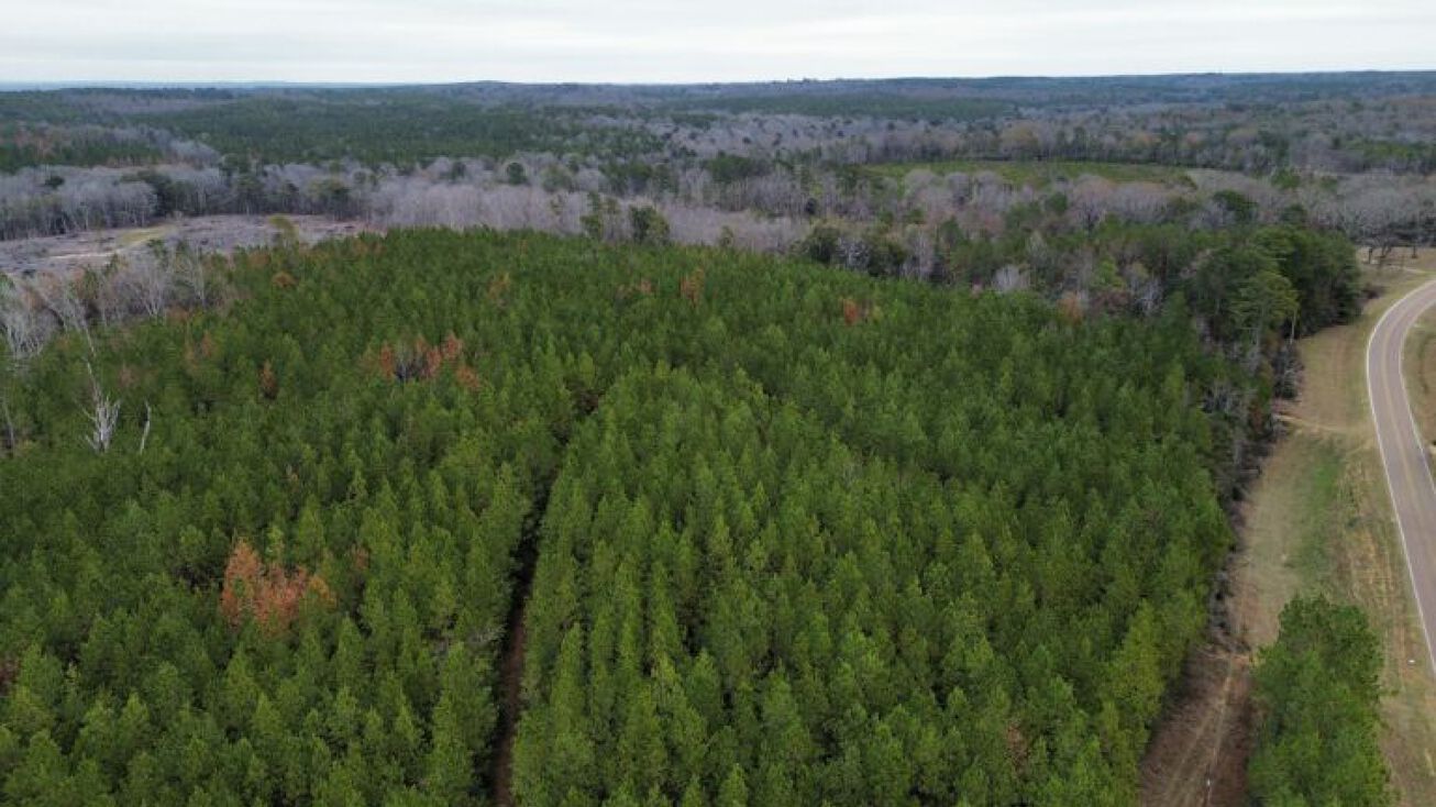 Simpson County, Braxton, MS 39044