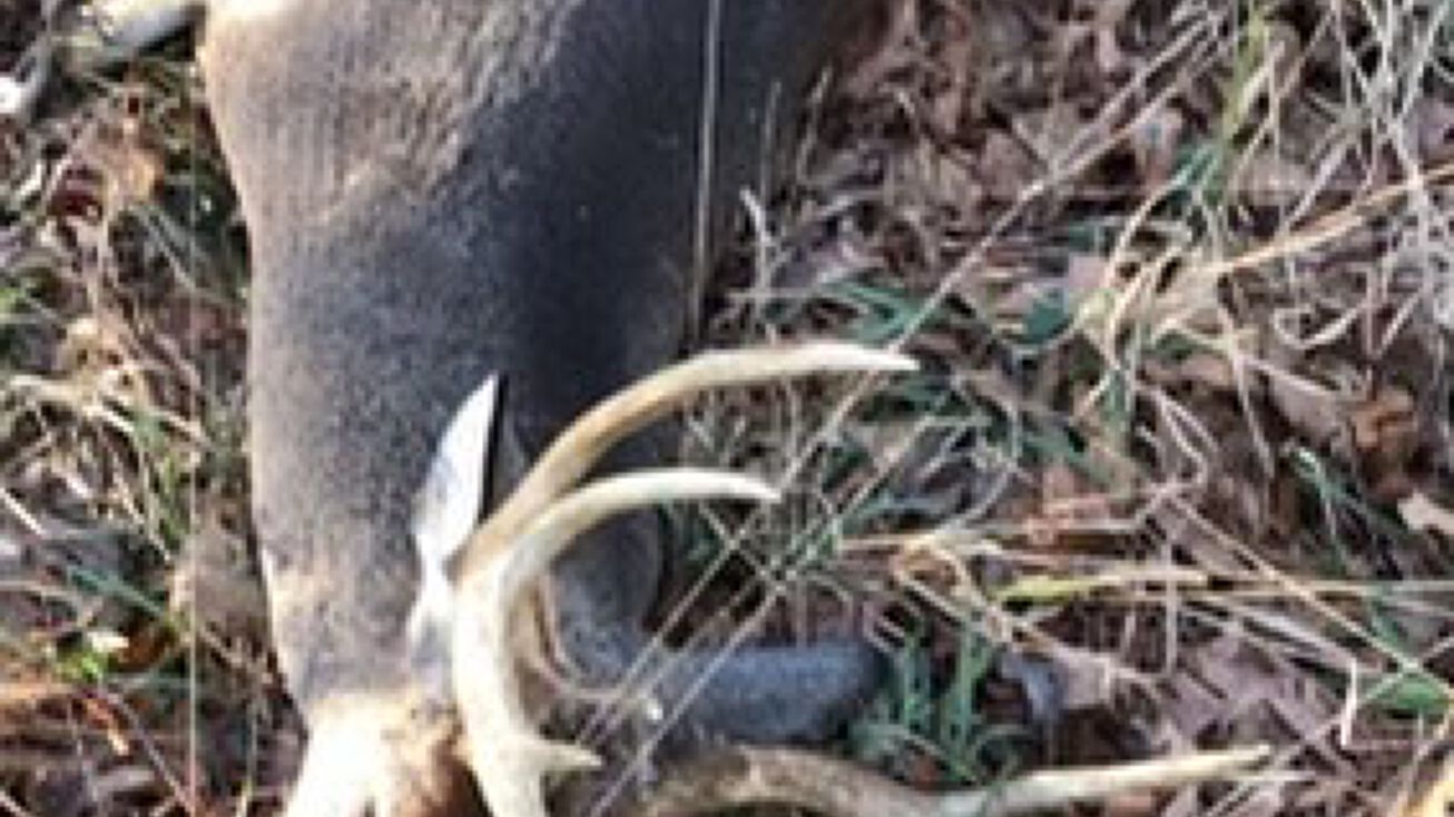 Attala County, Ethel, MS 39067