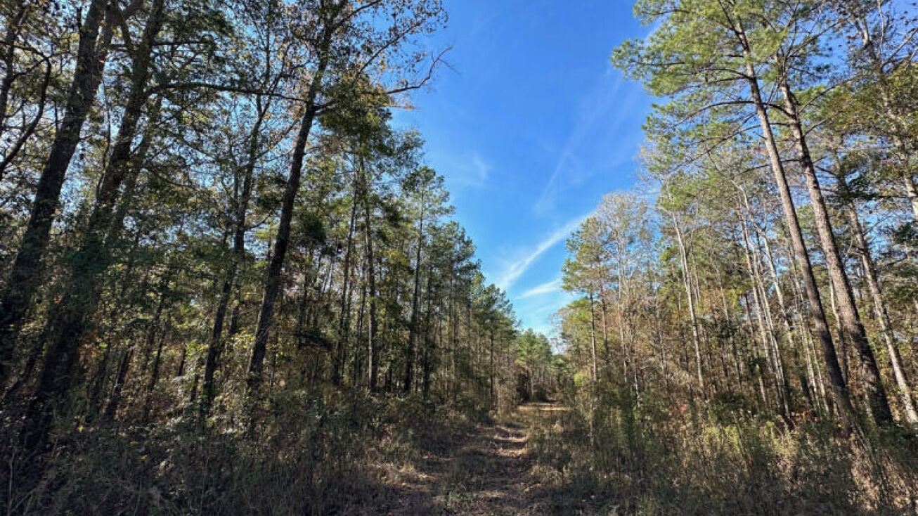 RANKIN COUNTY, MS, Rankin, MS 79778