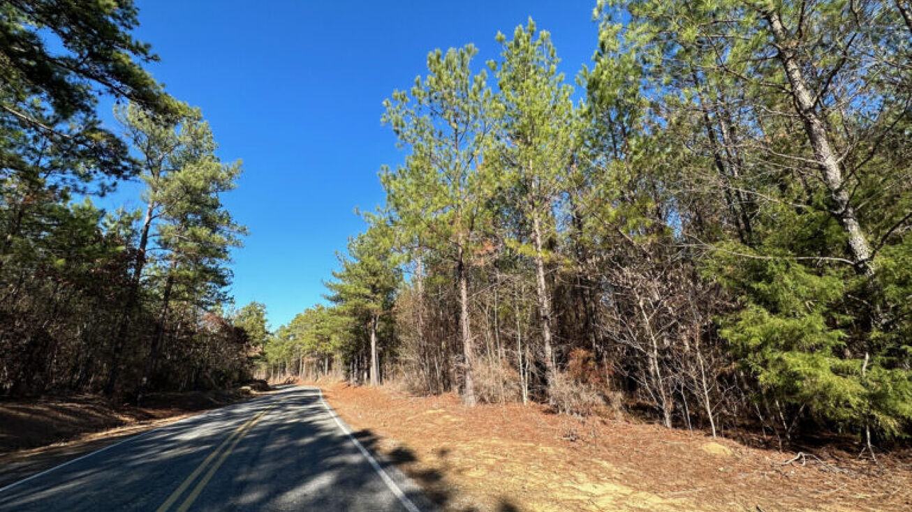 Henry Cannon Rd, Brandon, MS 39042