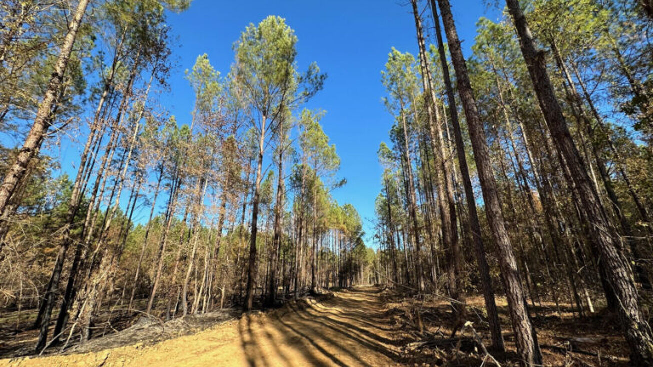 ATTALA COUNTY, MS, Ethel, MS 39067