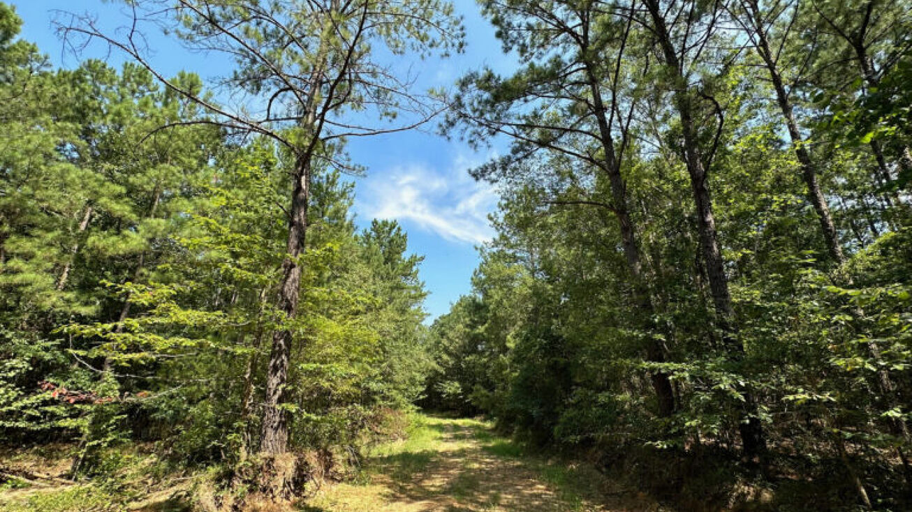 105 Levi Cooper Rd, Braxton, MS 39044