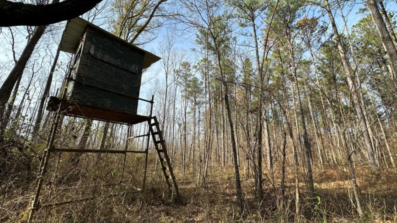 81 Acres, Prentiss, MS 39474