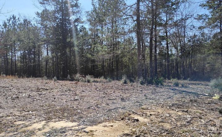 Pictures of Land property located at NHN Lot 30 Magenta Ln, Picayune, MS 39466 for sales - image #1