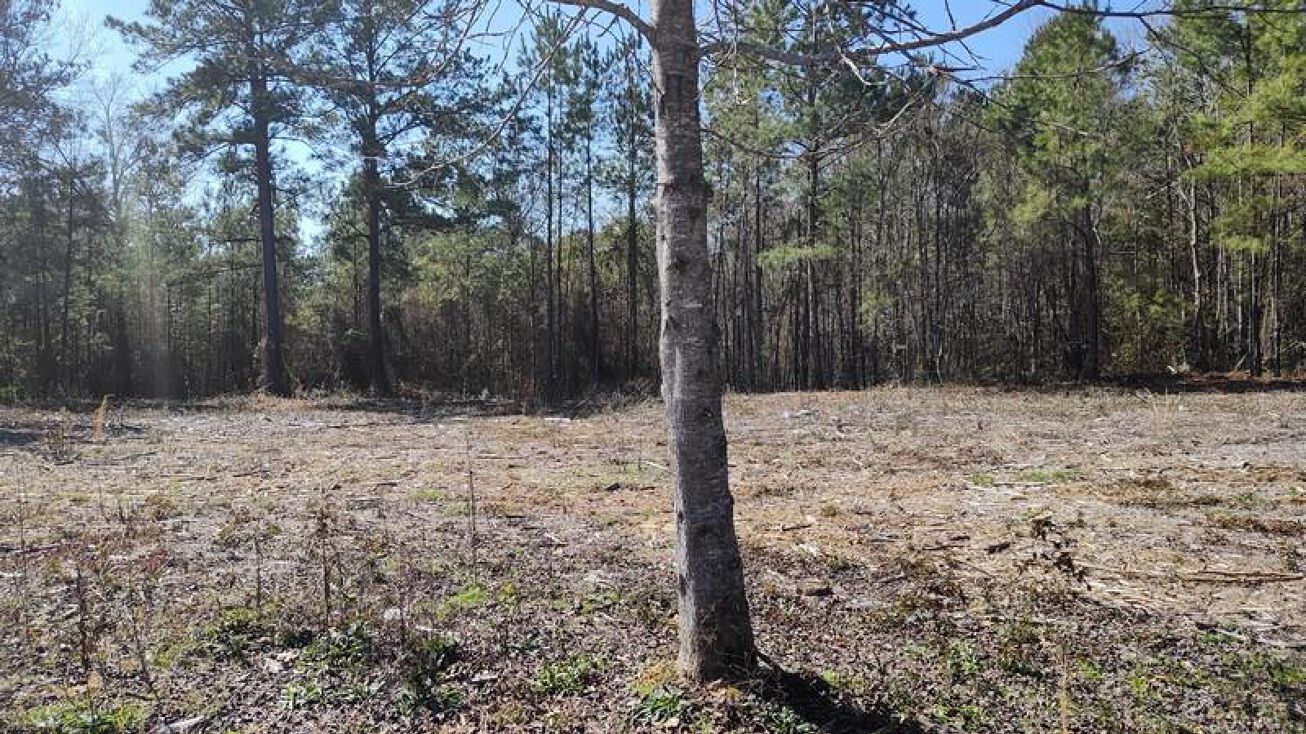NHN Lot 33 Magenta Lane, Picayune, MS 39466
