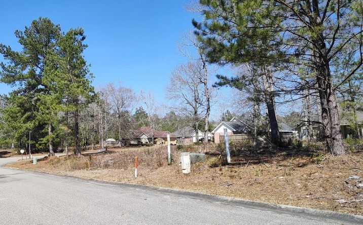 Pictures of Land property located at NHN Lot 48 Magenta Lane, Picayune, MS 39466 for sales - image #1