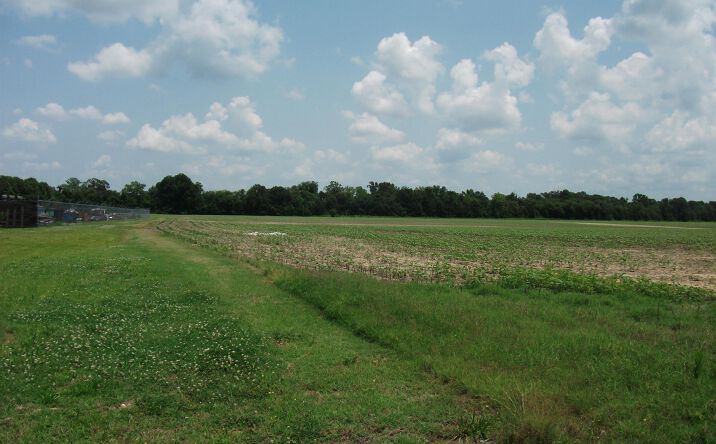 Pictures of Land property located at 0 Hwy 196 Hwy, Gallaway, TN 38036 for sales - image #1