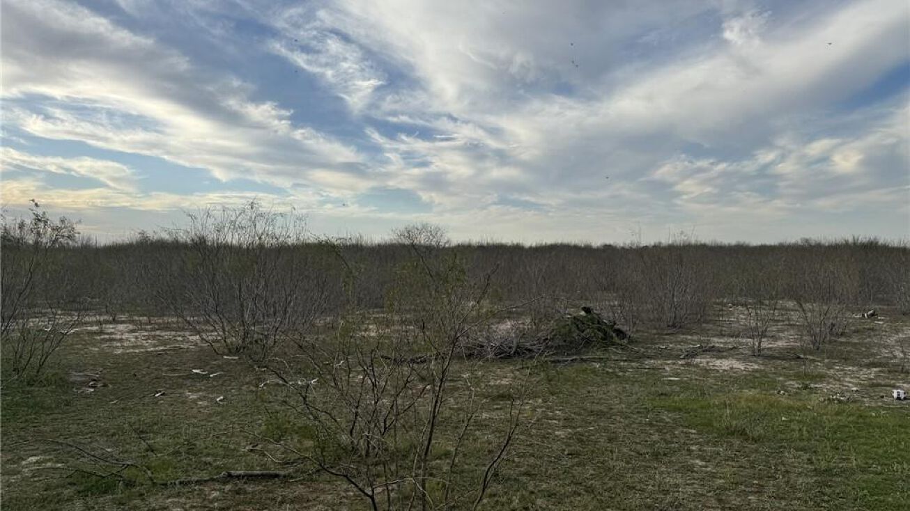 000 FM 490, Hargill, TX 78549