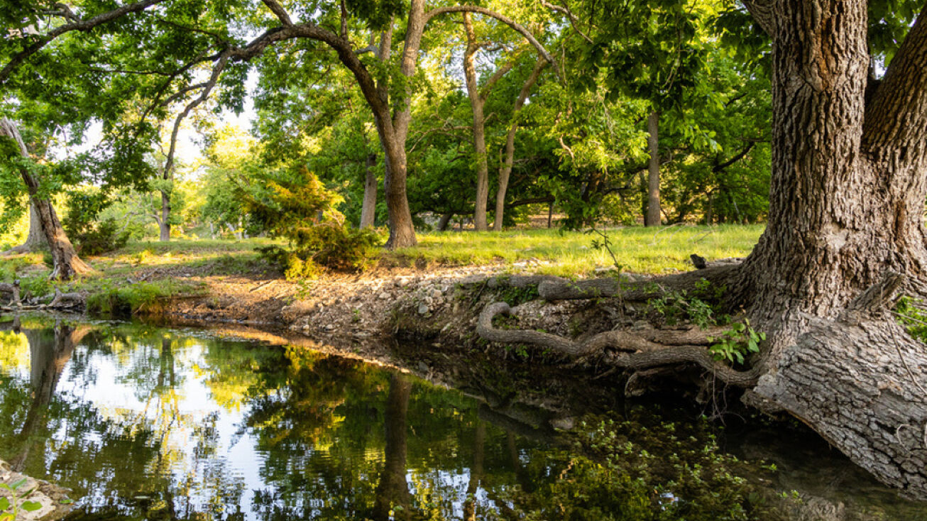 PresslerHenke Rd, Kerrville, TX 78028