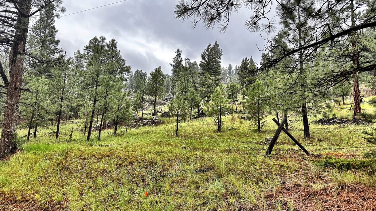 Track F3 Clancy Creek Road, Clancy, MT 59634