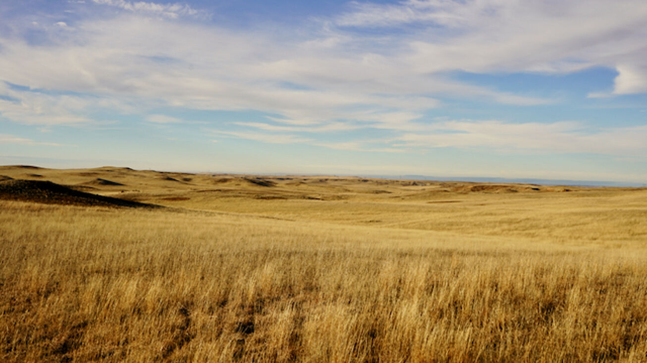 Rd 106, Glendive, MT 59330