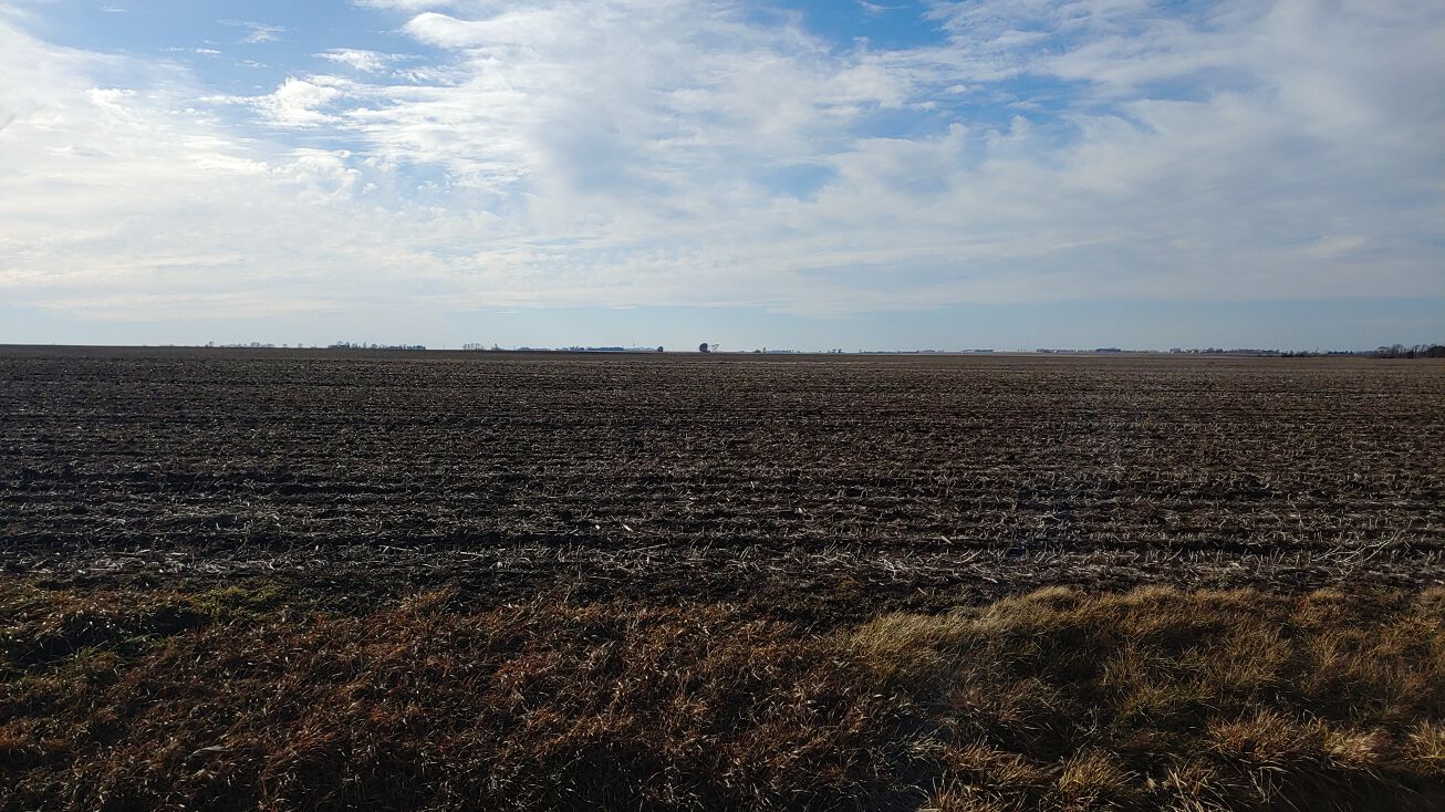 2800N, Chrisman, IL 61924