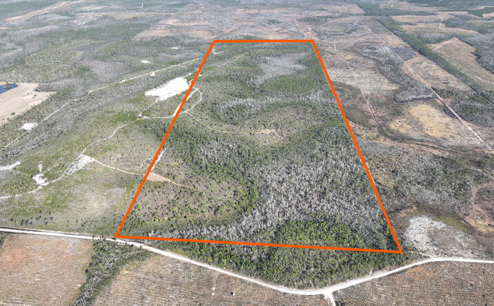 Pictures of Land property located at Bay County 213 Acres, Panama City, FL 32404 for sales - image #1