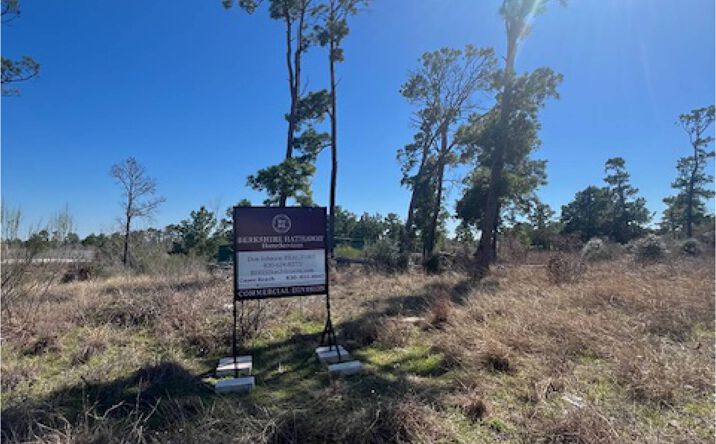 Pictures of Land property located at 4209 State Hwy 71, Bastrop, TX 78602 for sales - image #1