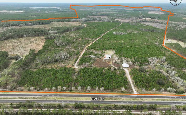 Pictures of Land property located at 945 Highway 17, Palatka, FL 32177 for sales - image #1